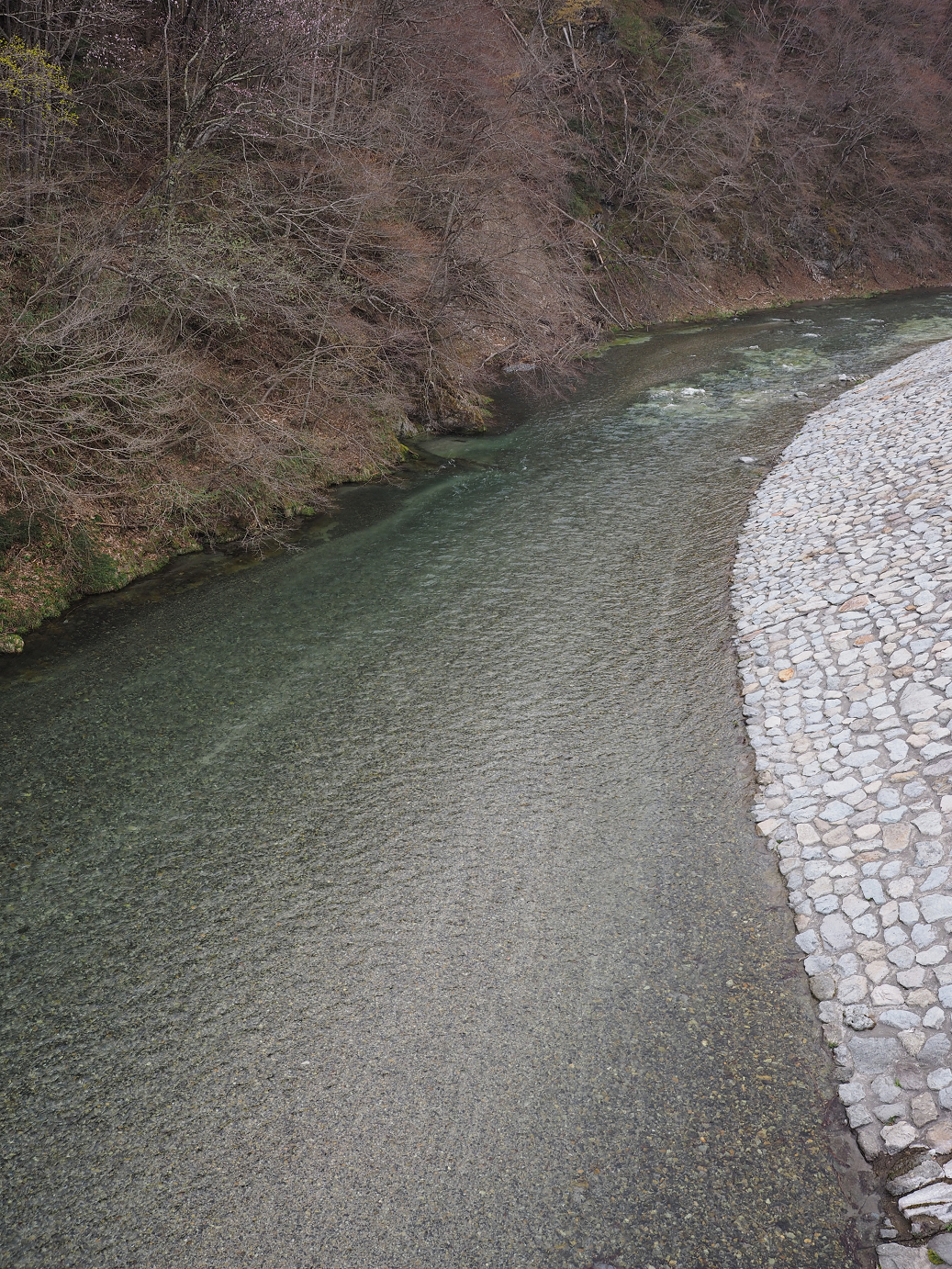 P4246832.jpg