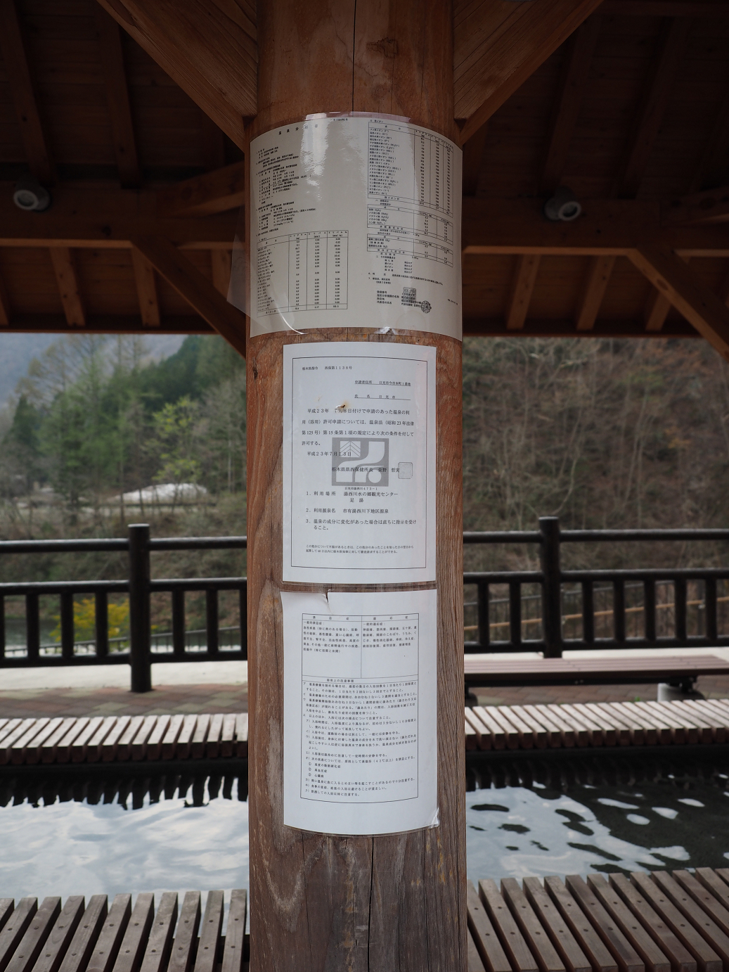 P4246861.jpg