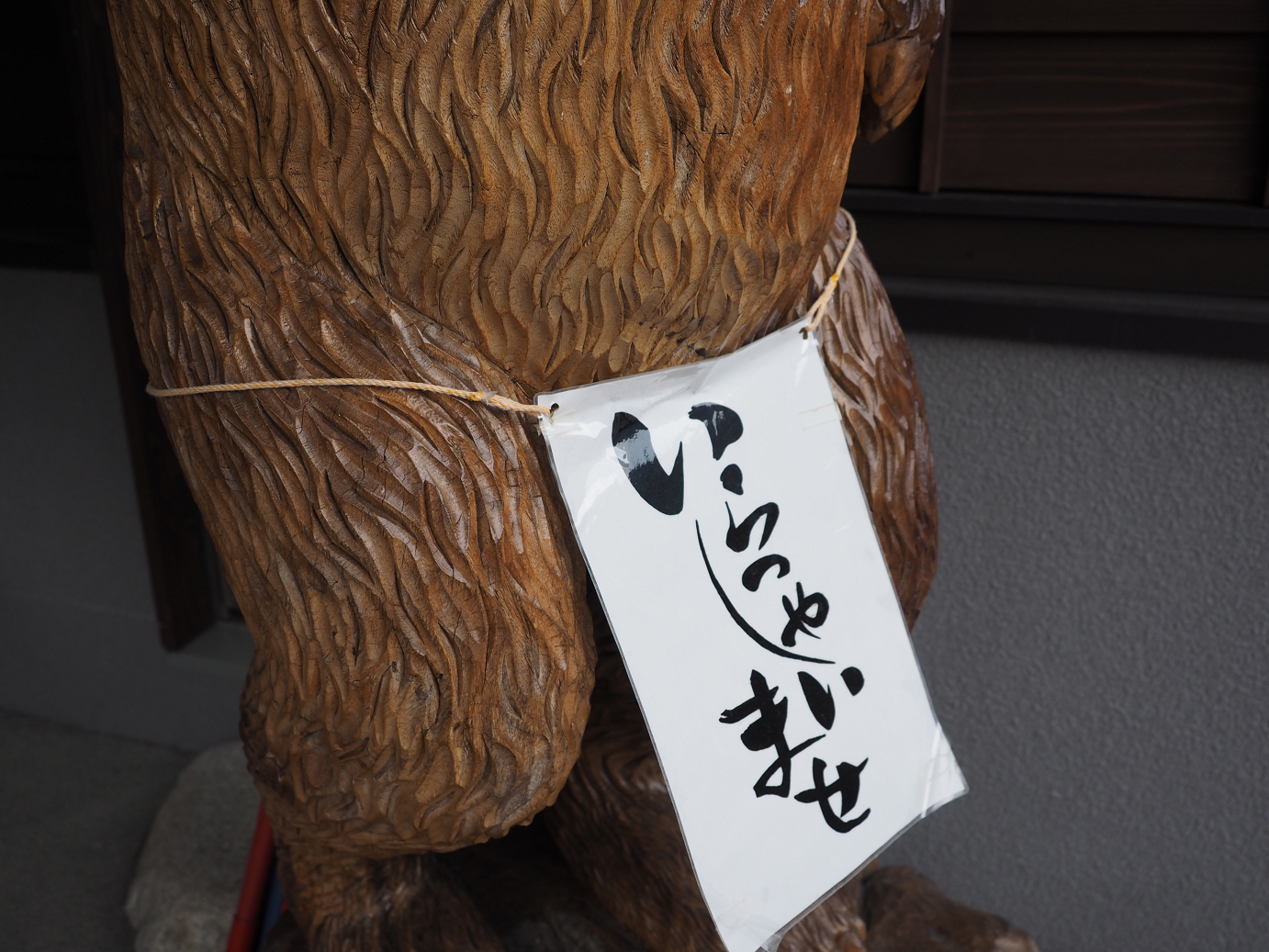 P4246865.jpg