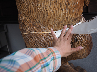 P4246866_thumb.png