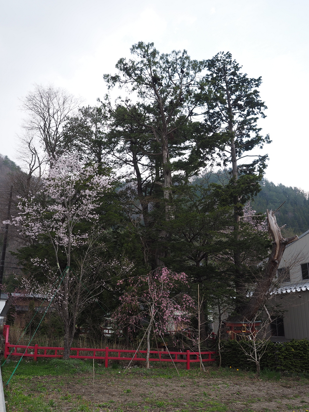 P4246870.jpg