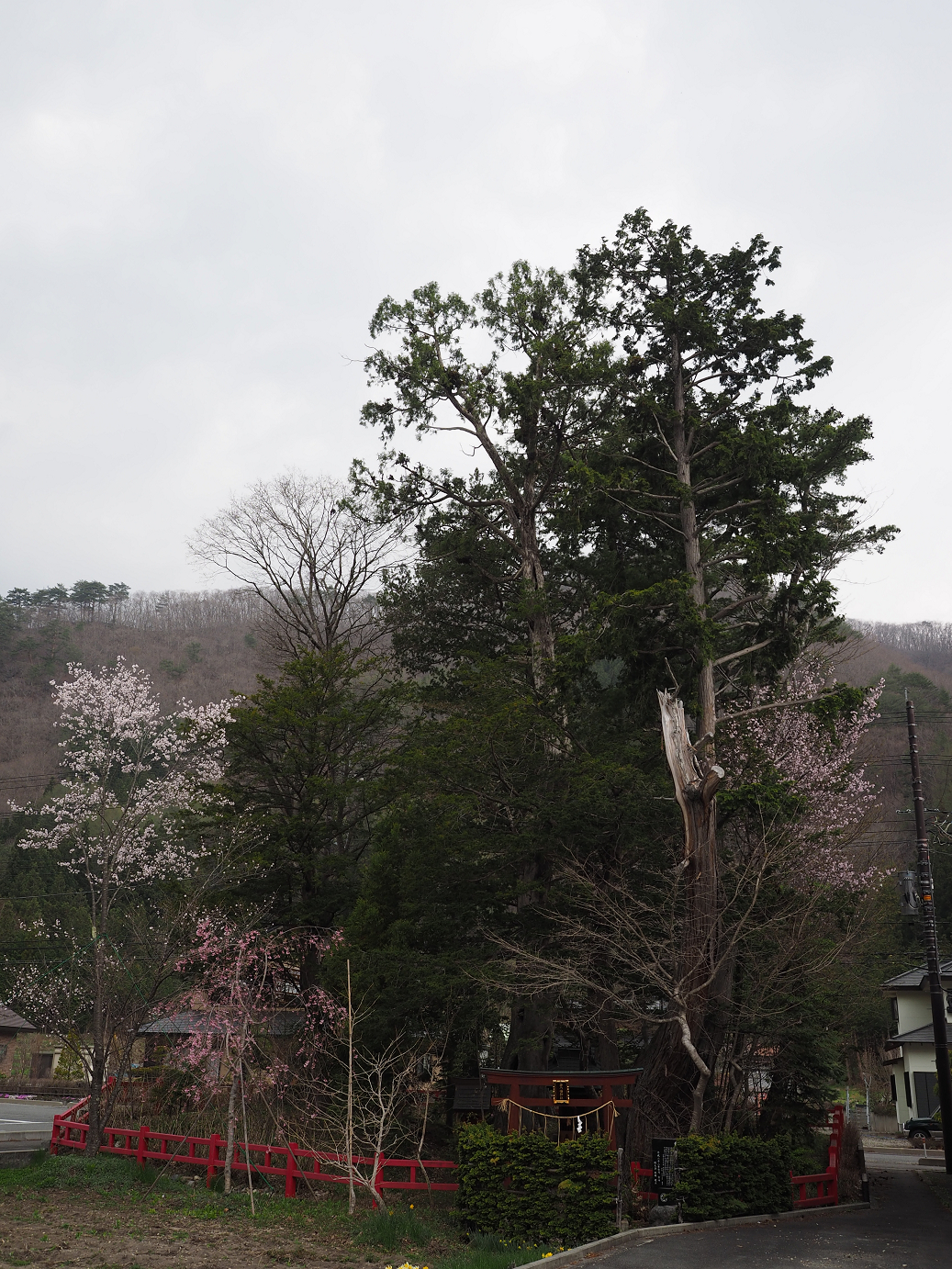 P4246875.jpg