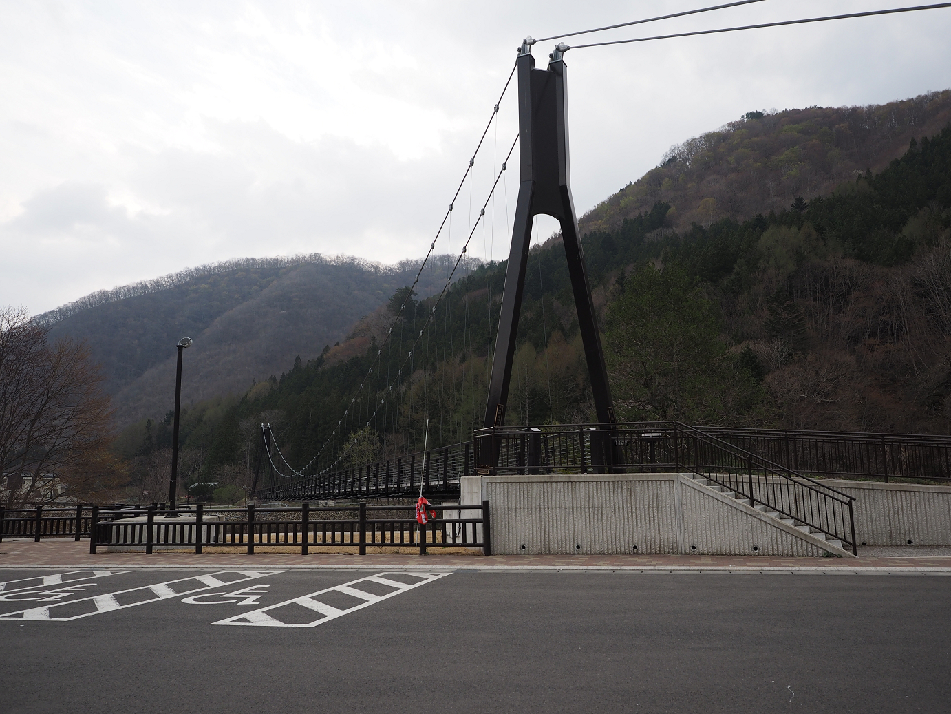 P4246879.jpg