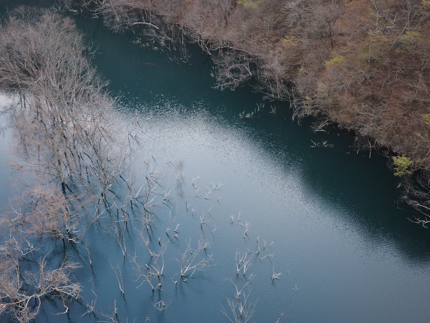 P4246883.jpg