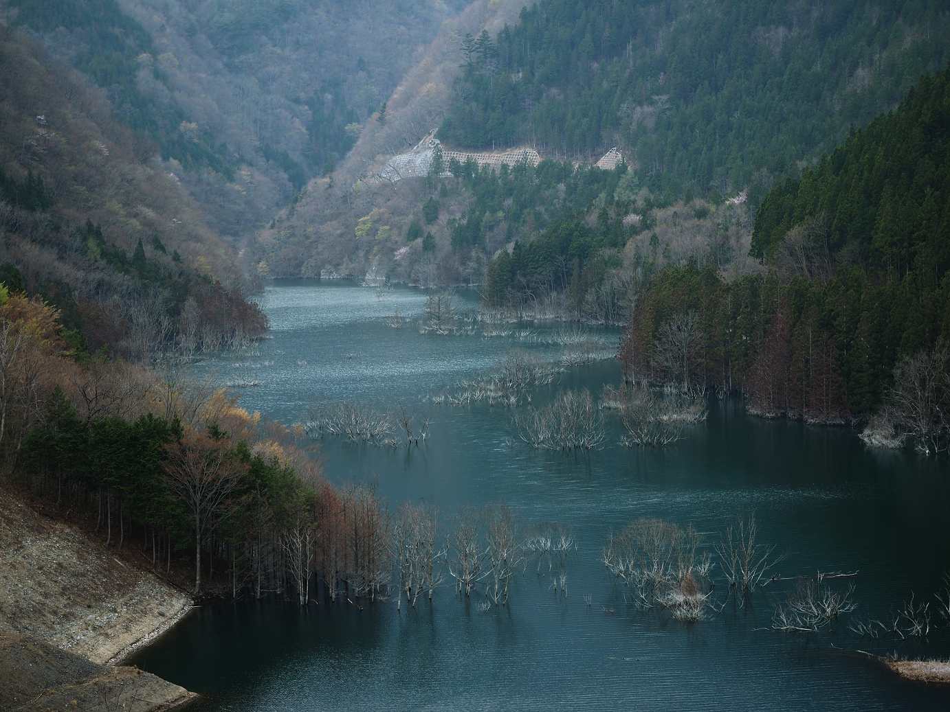P4246886.jpg