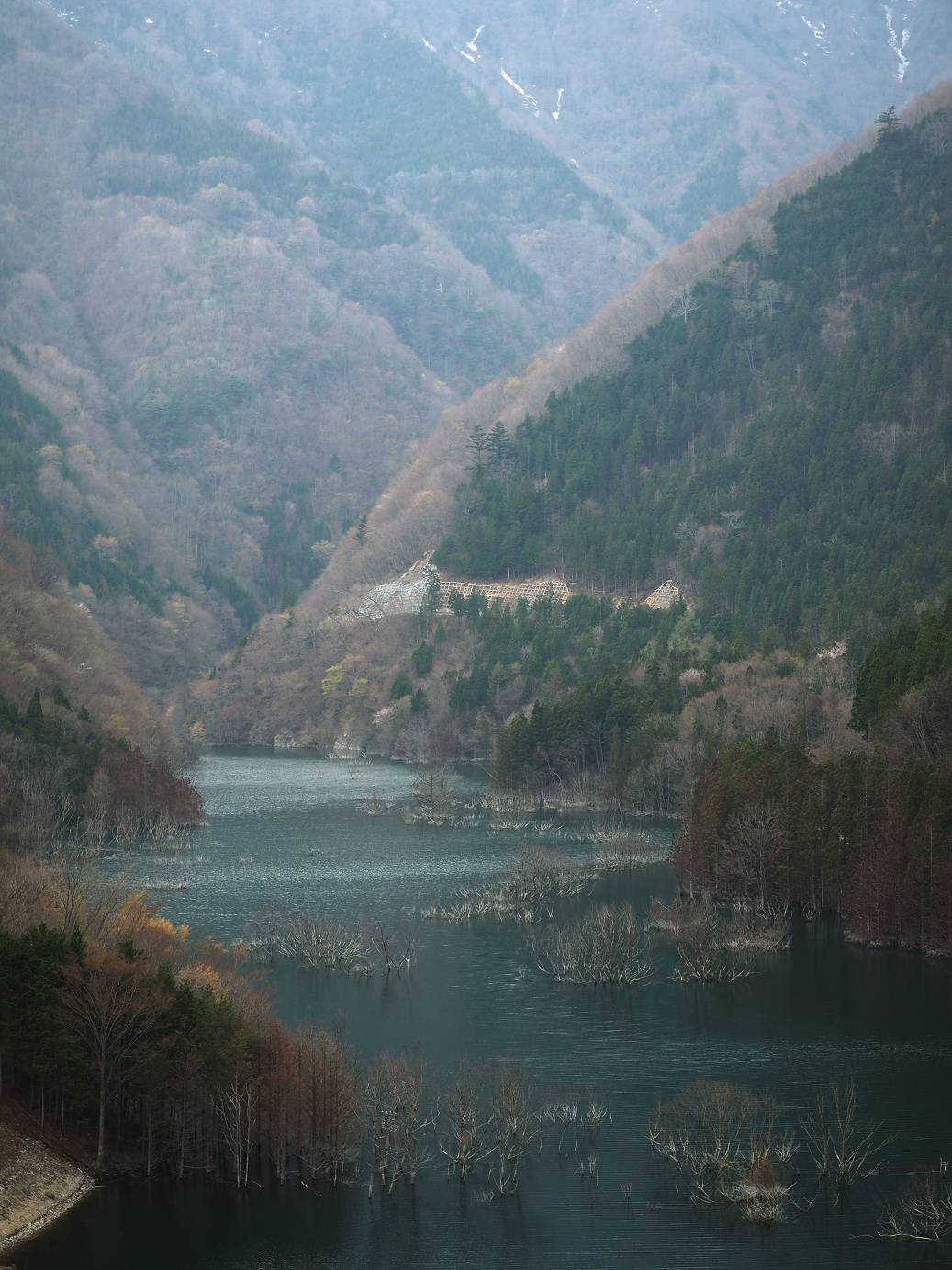 P4246887.jpg