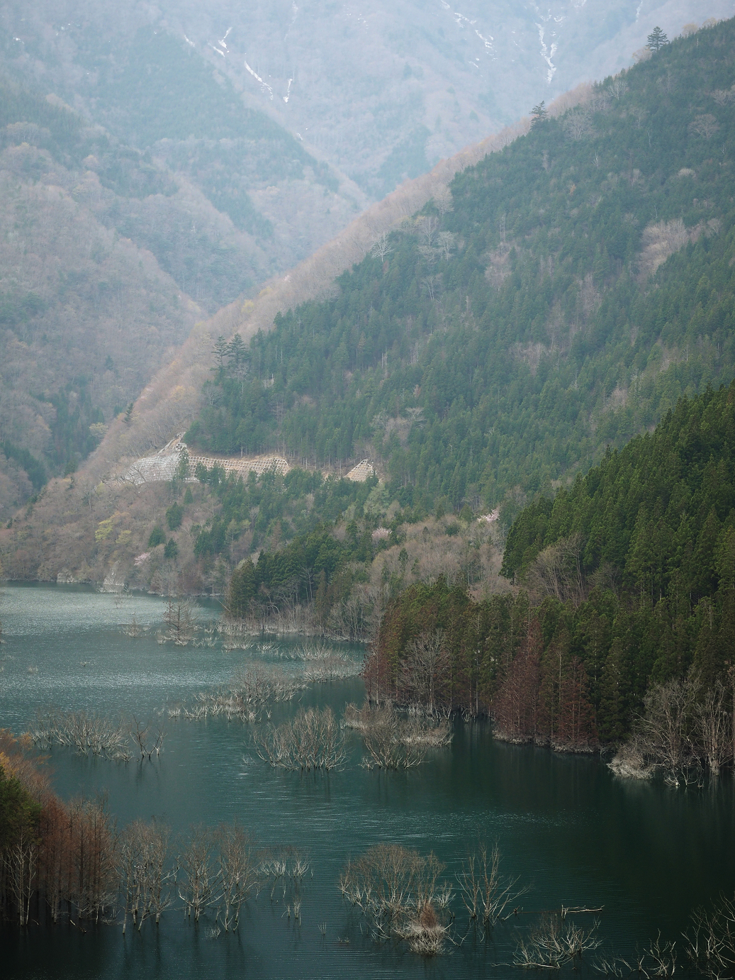P4246890.jpg