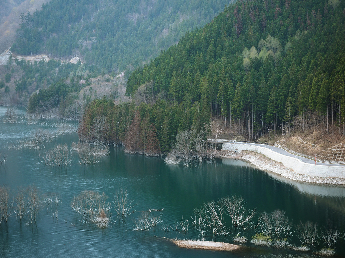 P4246891.jpg