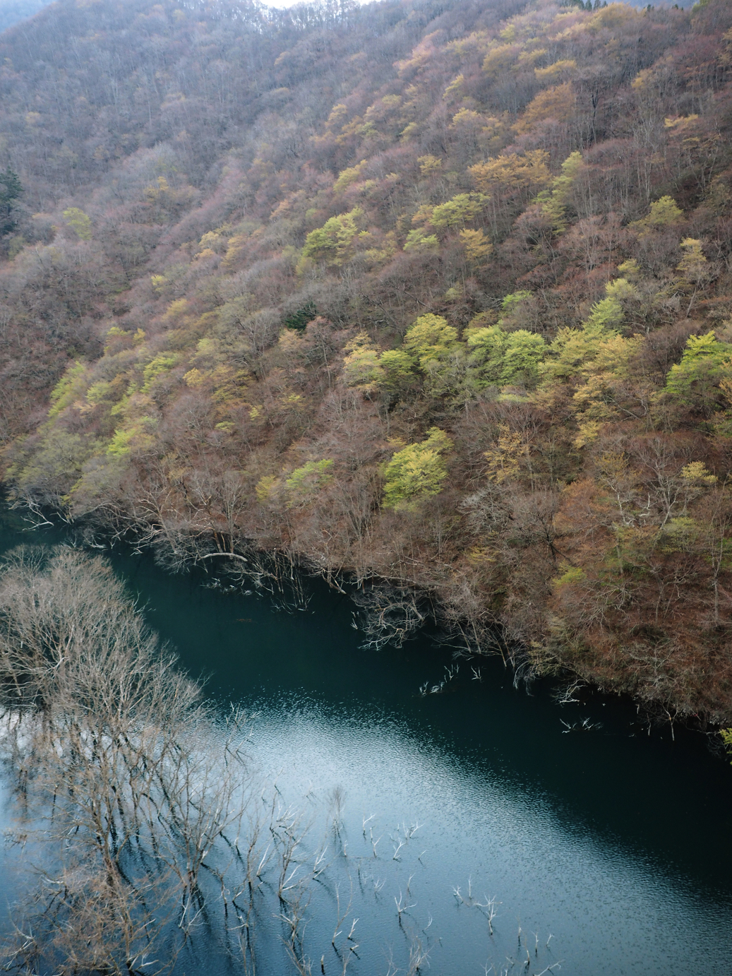 P4246894.jpg