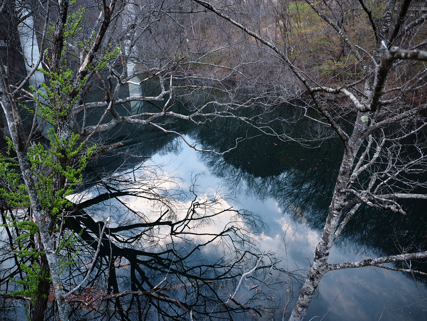P4246896.jpg