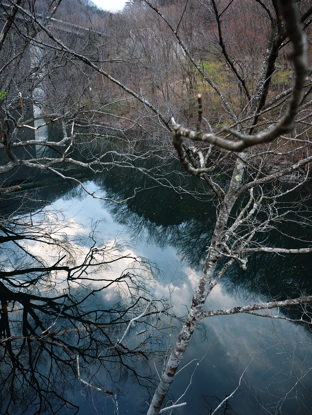 P4246898.jpg