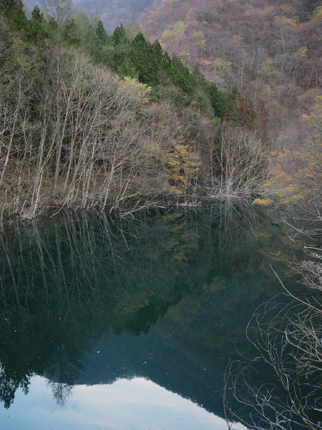 P4246901.jpg