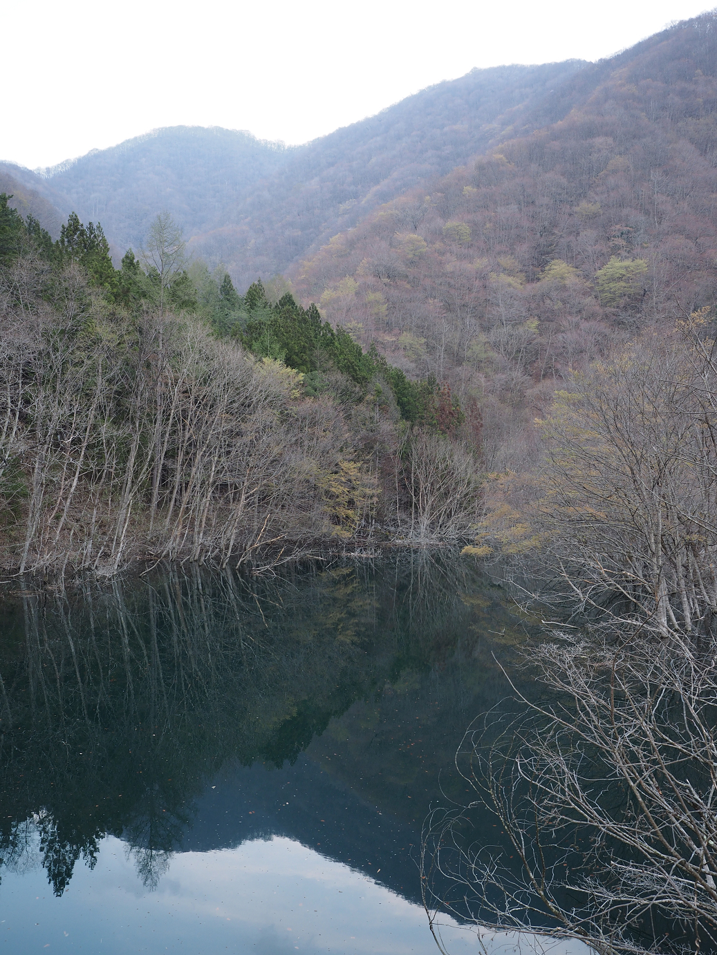 P4246903.jpg