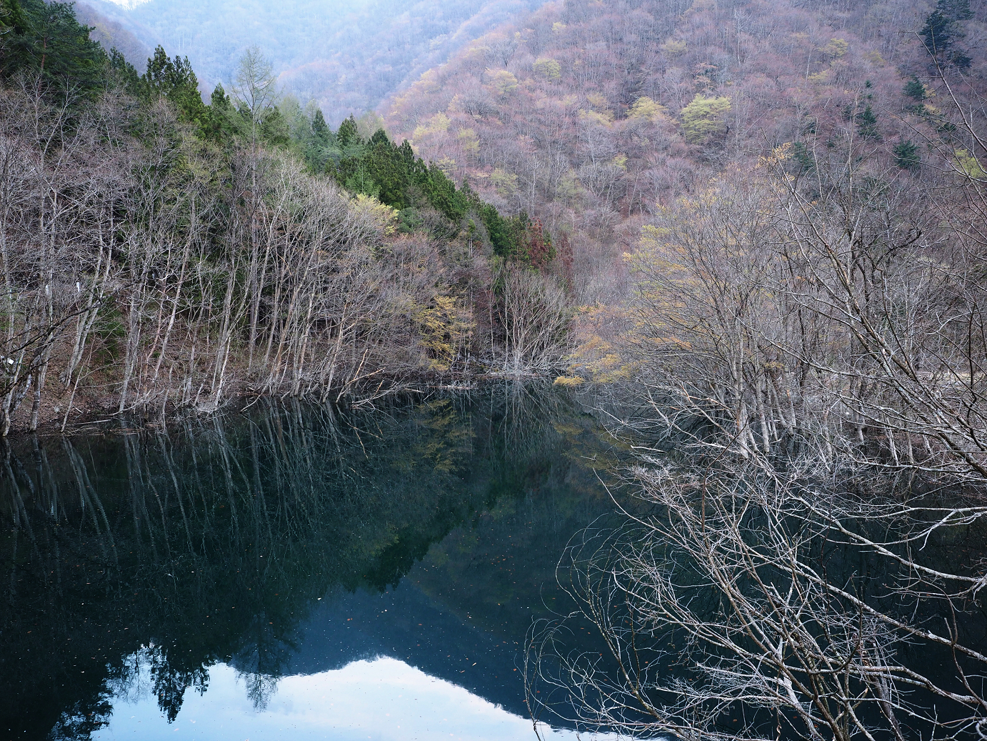 P4246905.jpg