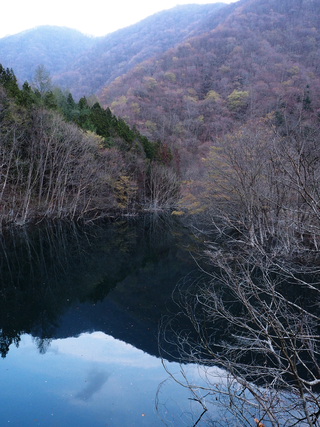 P4246911.jpg