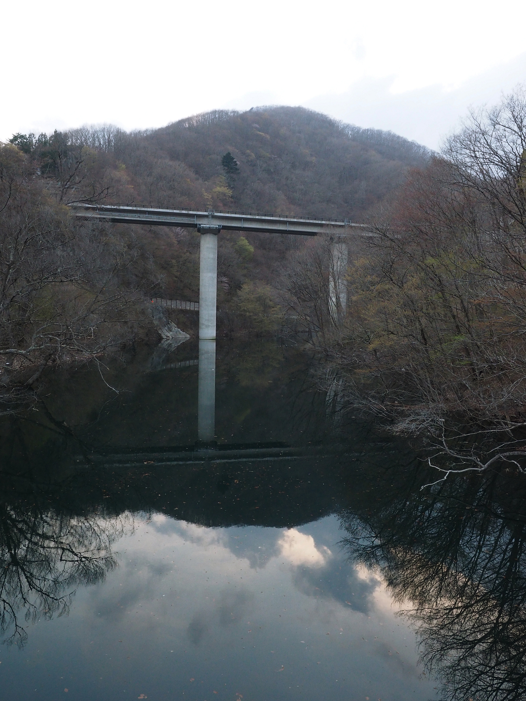 P4246912.jpg