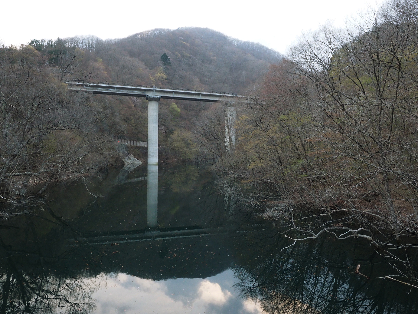 P4246914.jpg