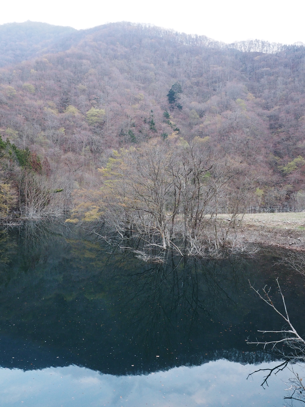 P4246921.jpg