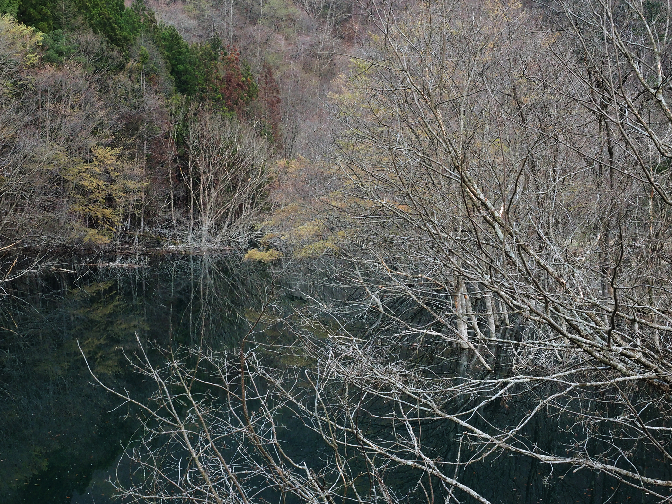 P4246922.jpg