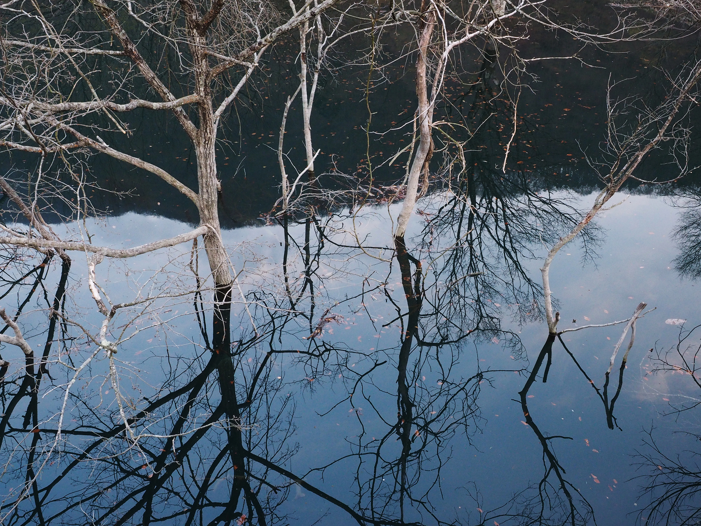 P4246925.jpg