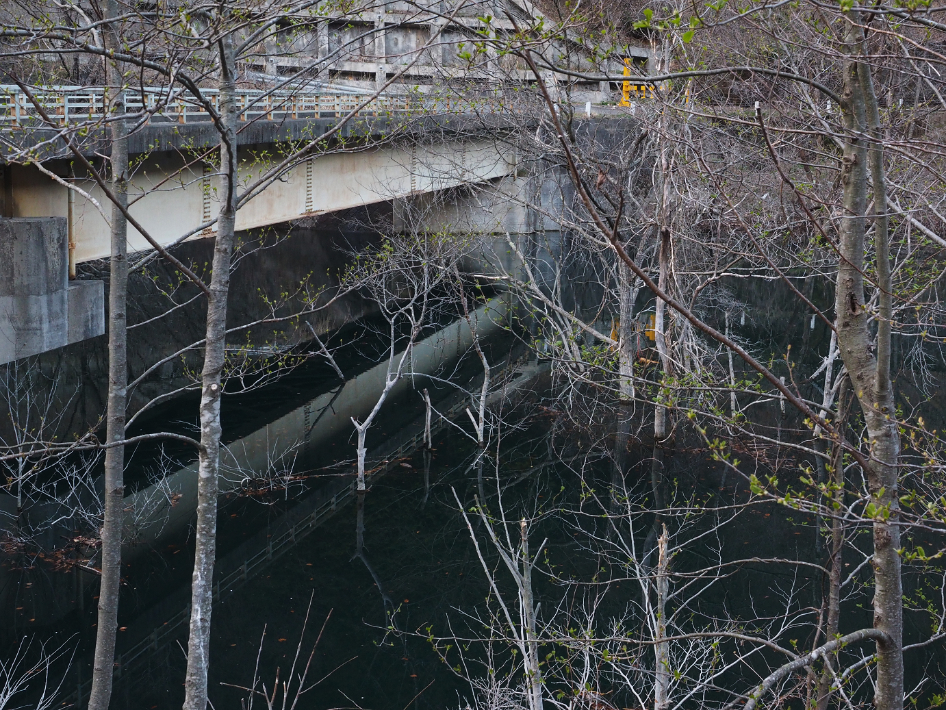 P4246932.jpg