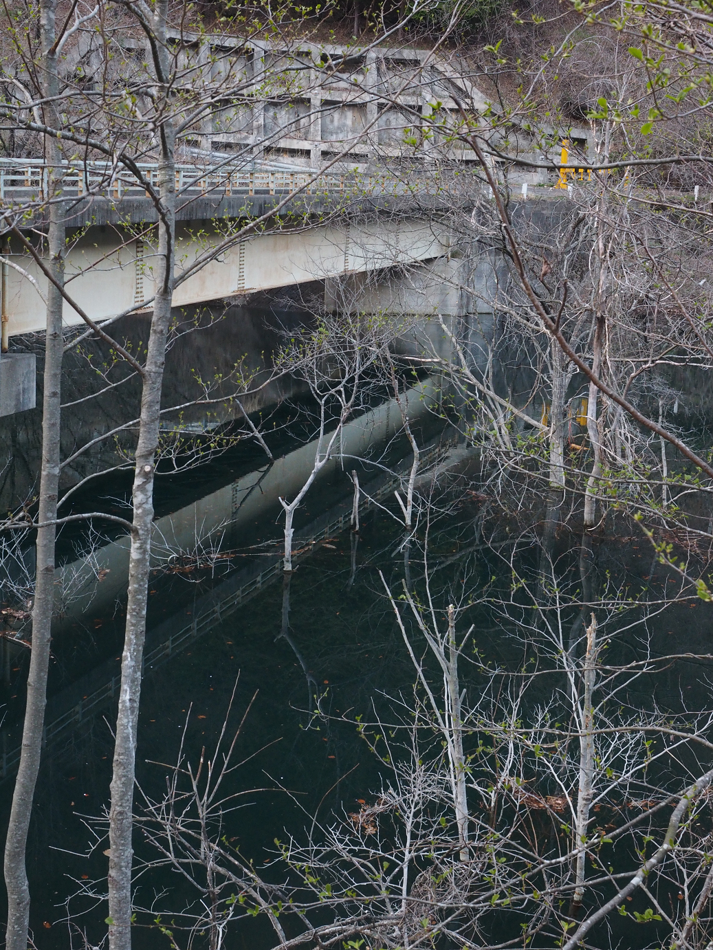 P4246933.jpg