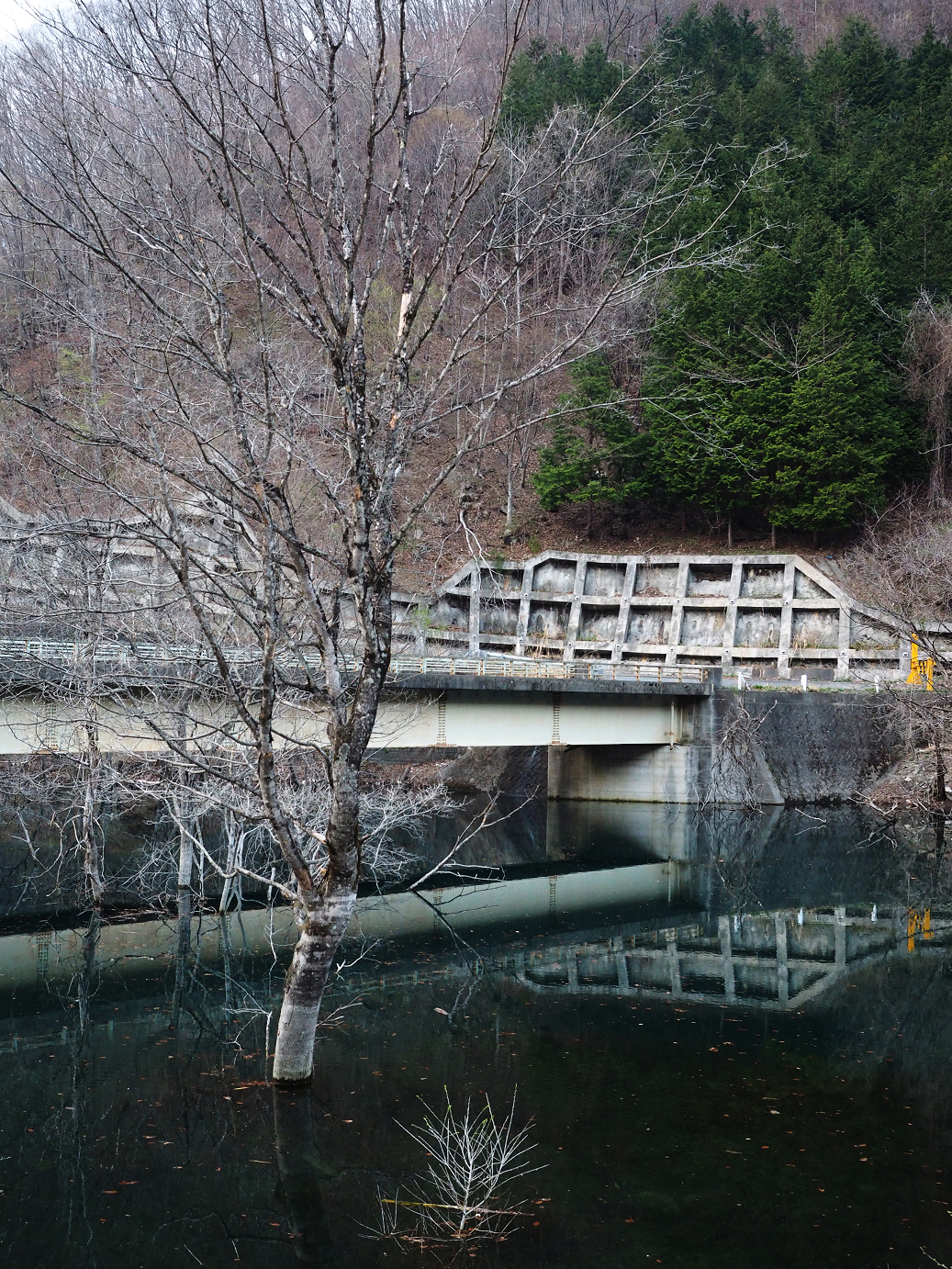 P4246937.jpg