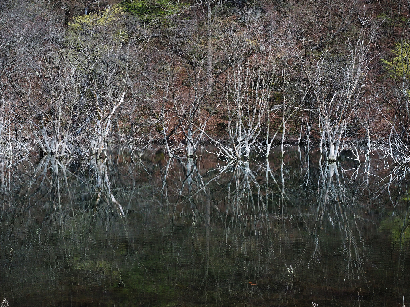 P4246940.jpg