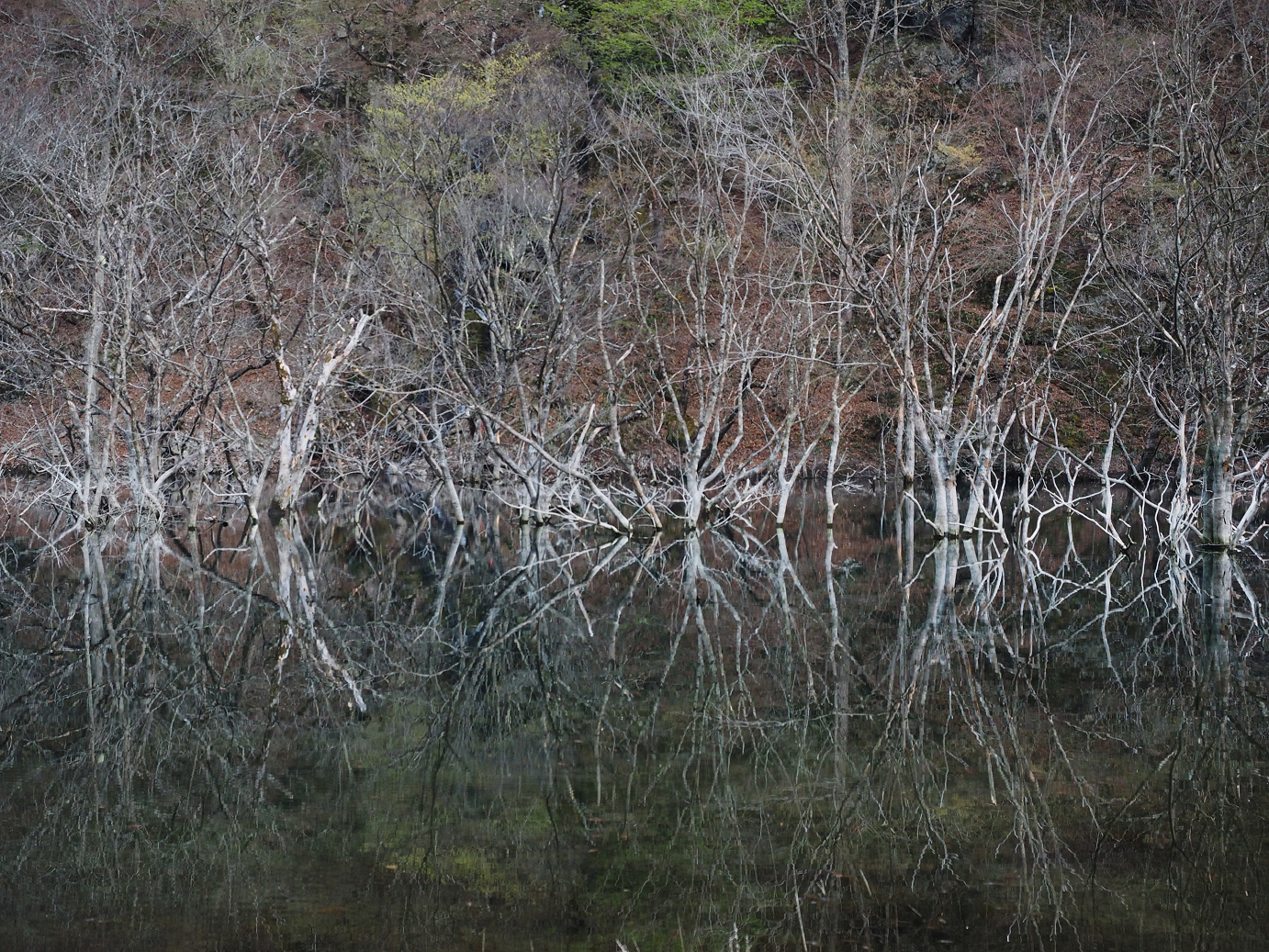 P4246942.jpg