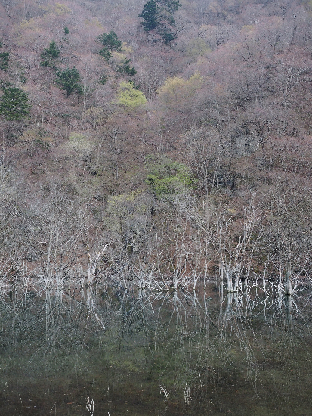 P4246943.jpg