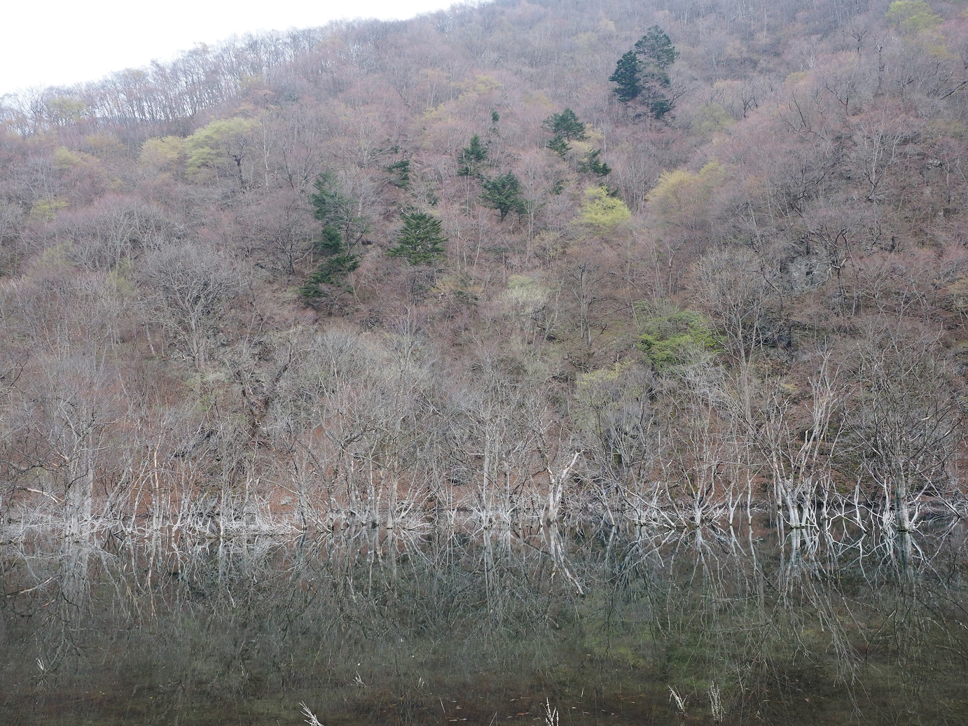P4246944.jpg
