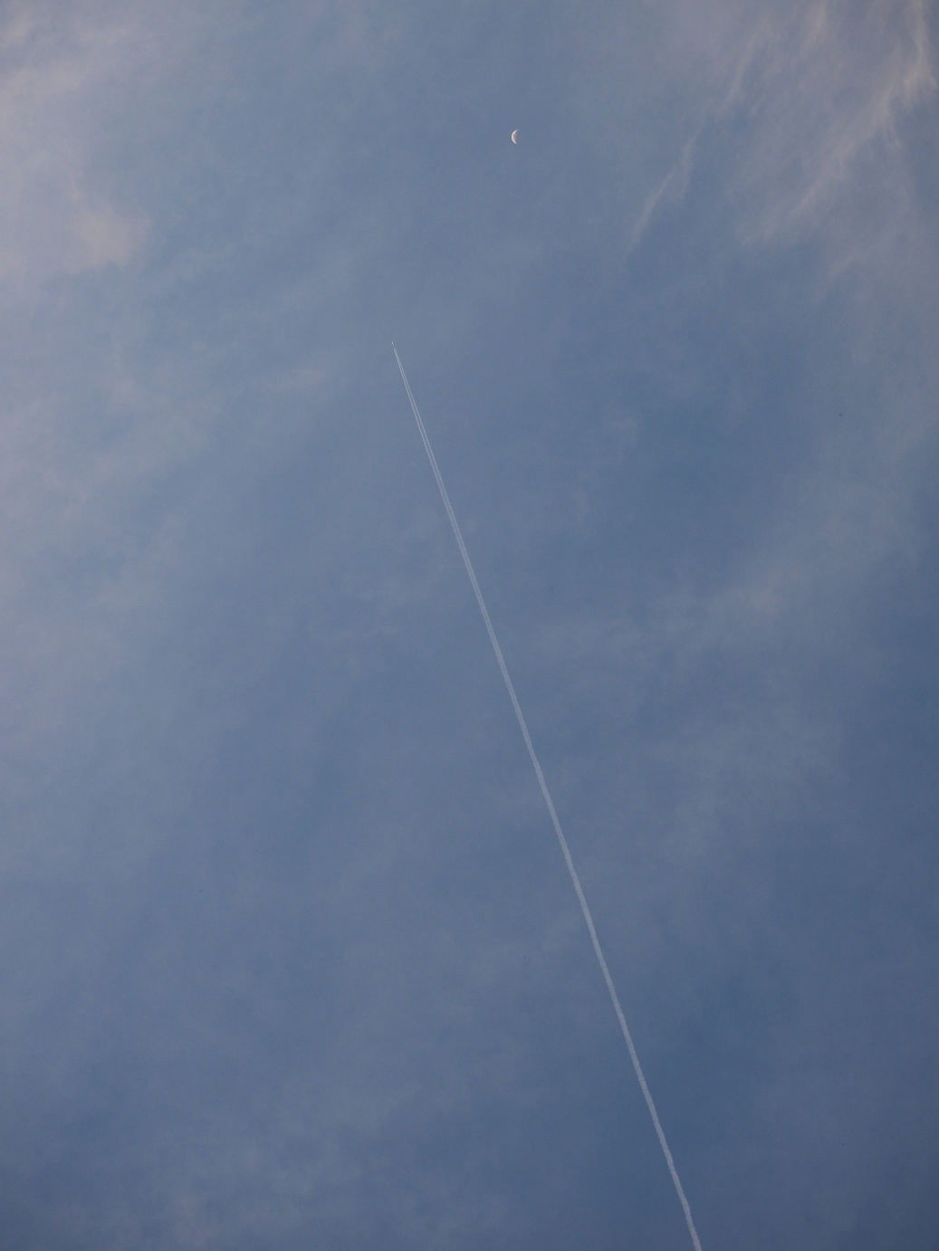 P4246945.jpg
