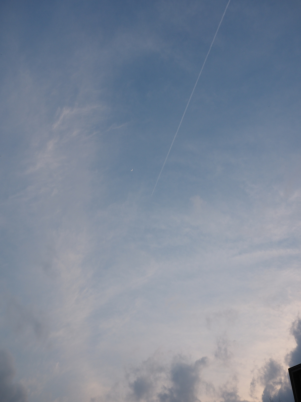 P4246946.jpg
