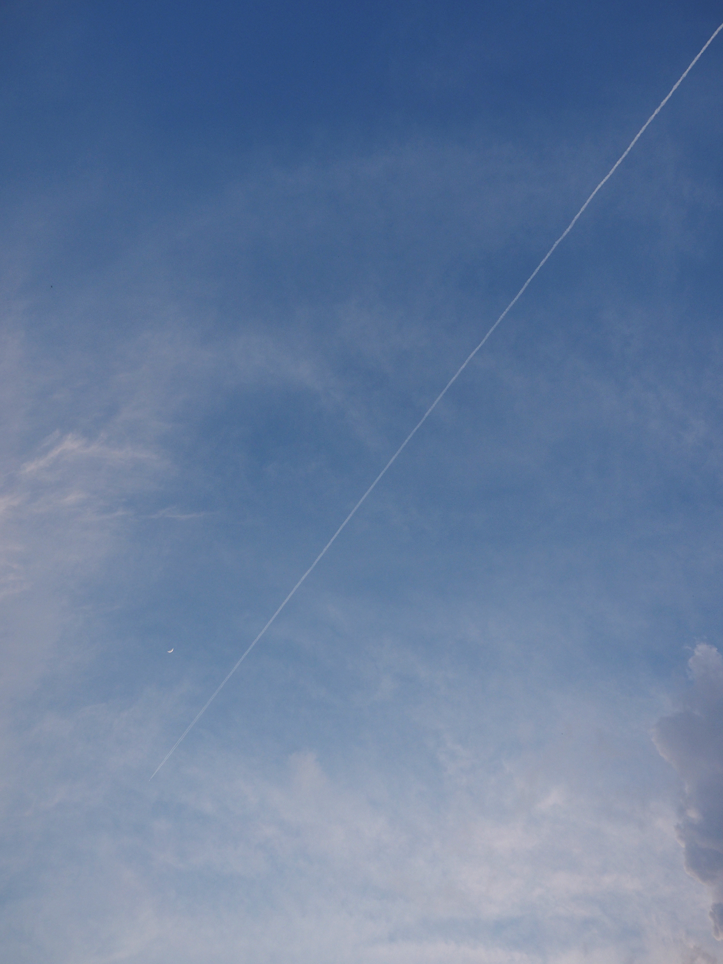 P4246947.jpg