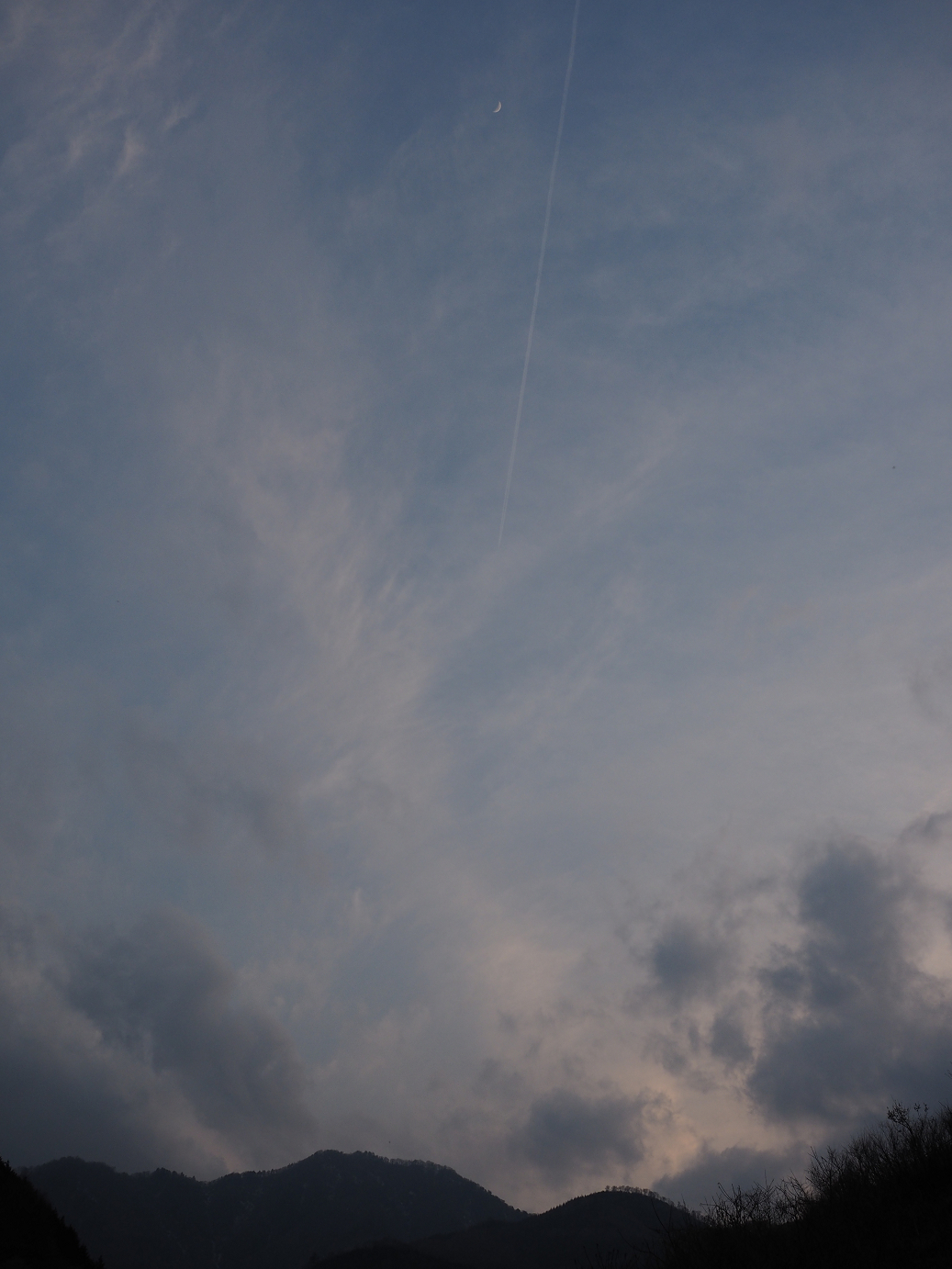 P4246950.jpg