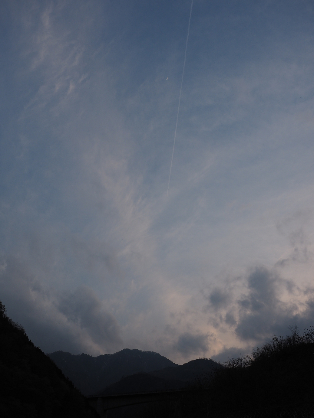 P4246951.jpg