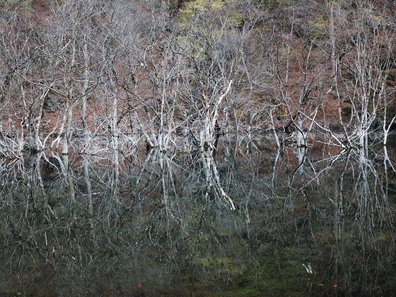 P4246952.jpg