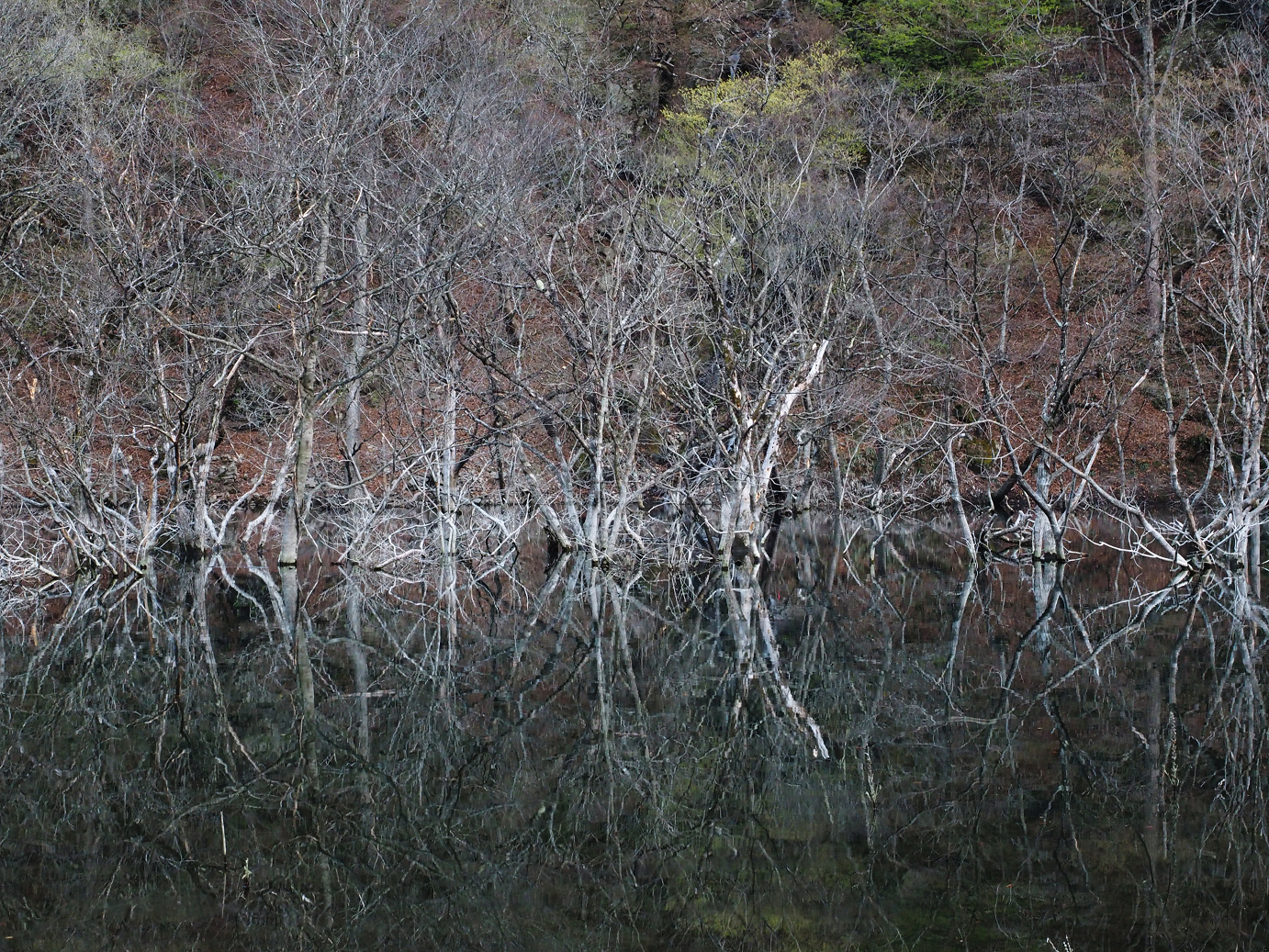 P4246953.jpg
