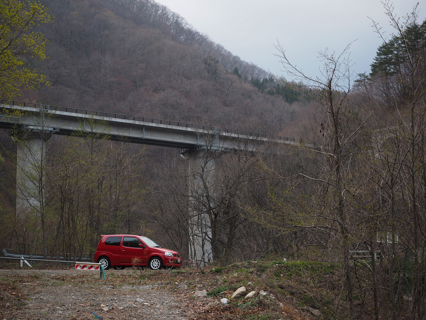 P4246968.jpg