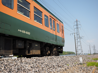 P4267047_thumb.png