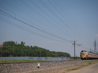 P4267082_thumb.png