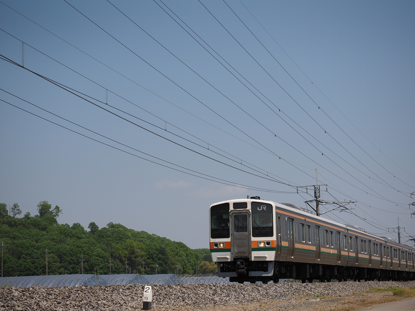 P4267116.jpg