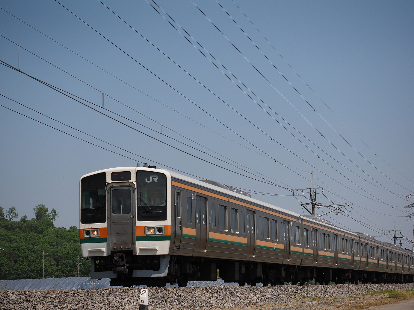 P4267119.jpg