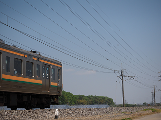 P4267142_thumb.png