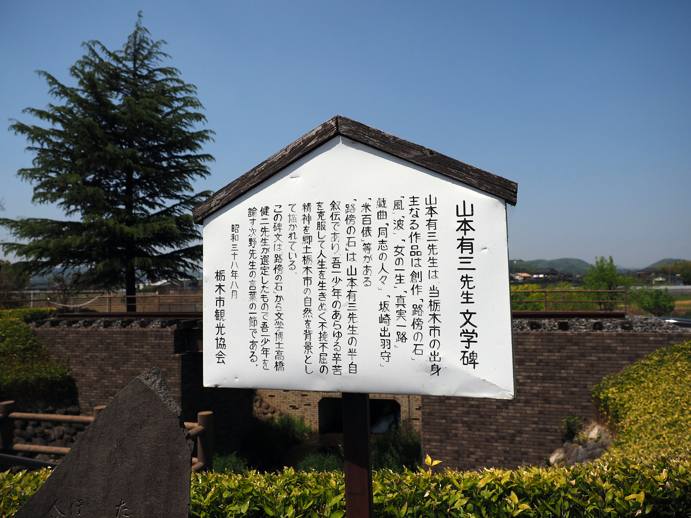 P4267155.jpg