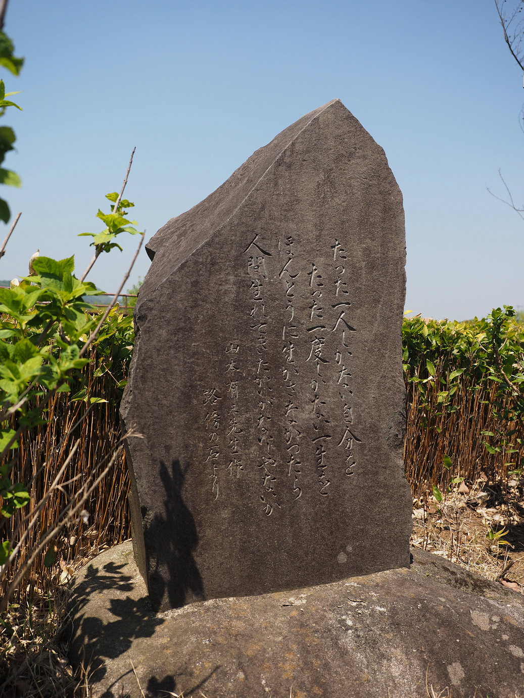 P4267156.jpg