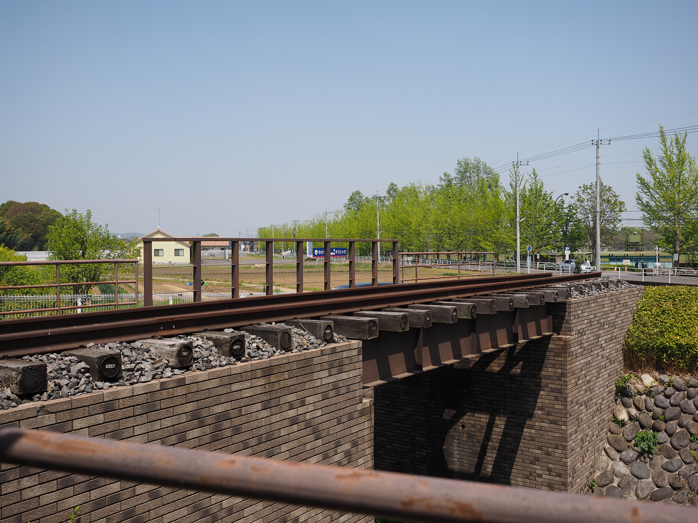 P4267161.jpg