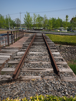 P4267162_thumb.png