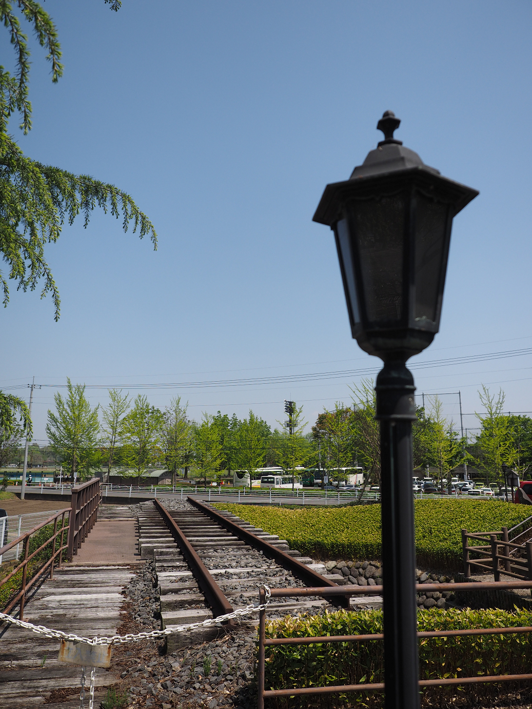 P4267163.jpg