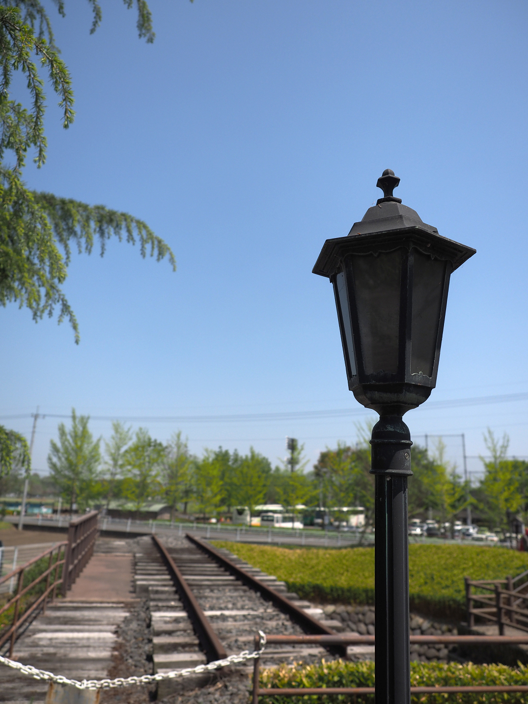 P4267164.jpg